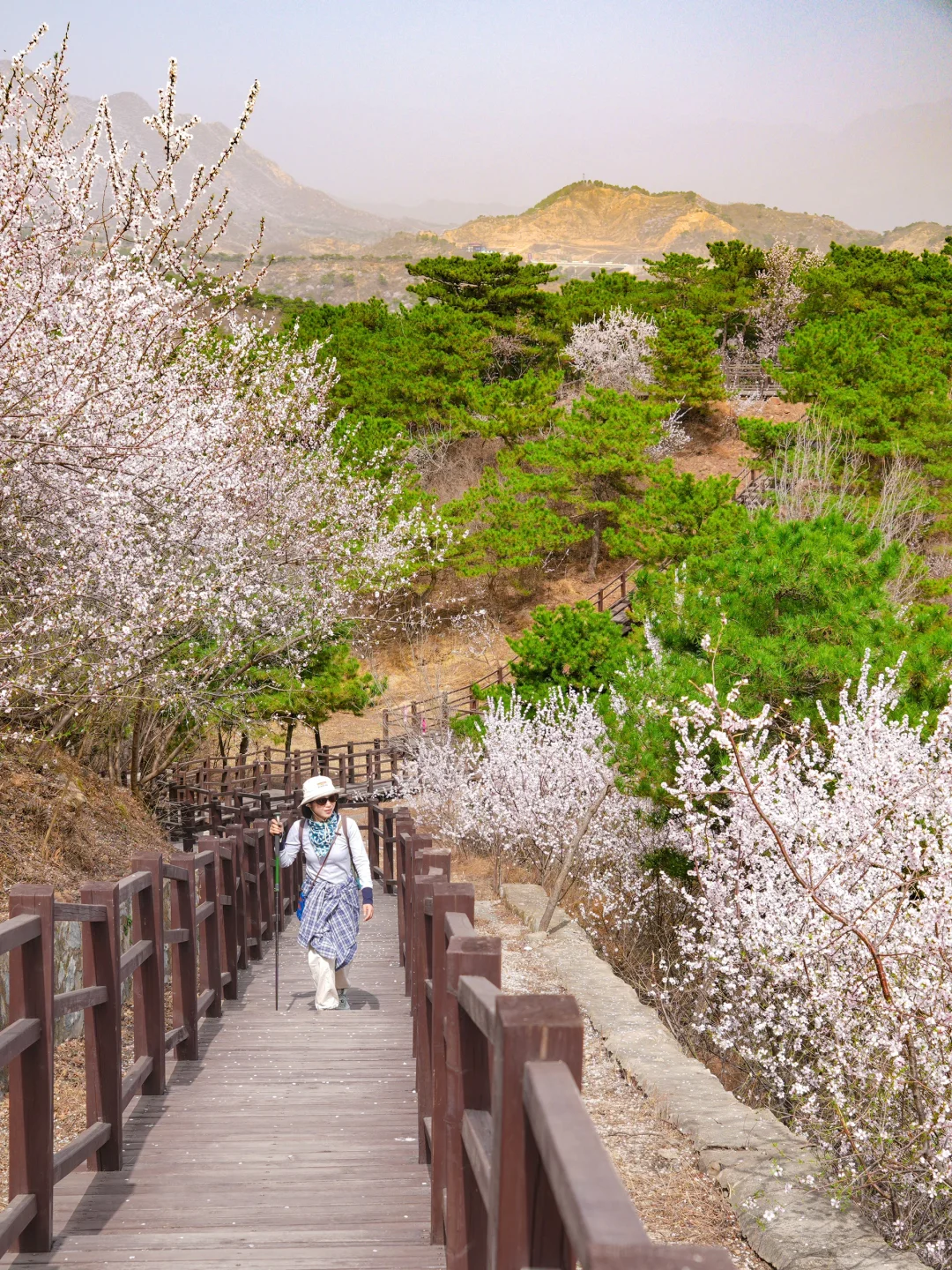 超小众！老少皆宜的无人登山步道美呆了😳！