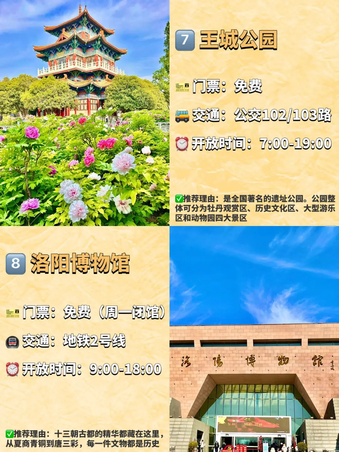 洛阳最值得打卡的九大景点‼️旅行前码住🔥