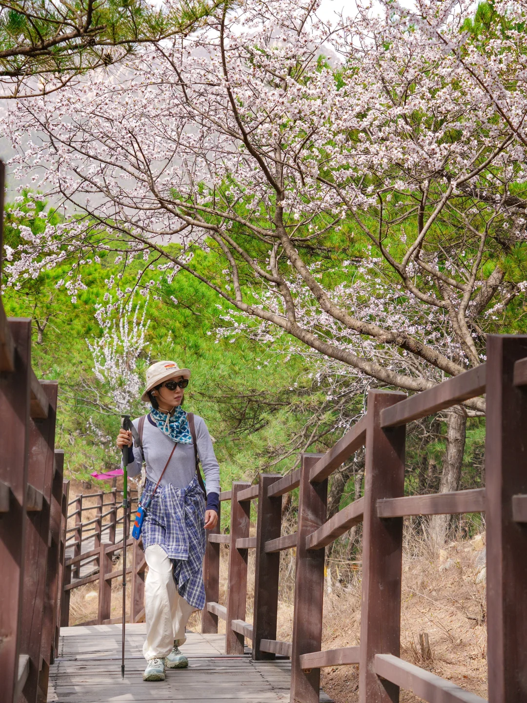 超小众！老少皆宜的无人登山步道美呆了😳！
