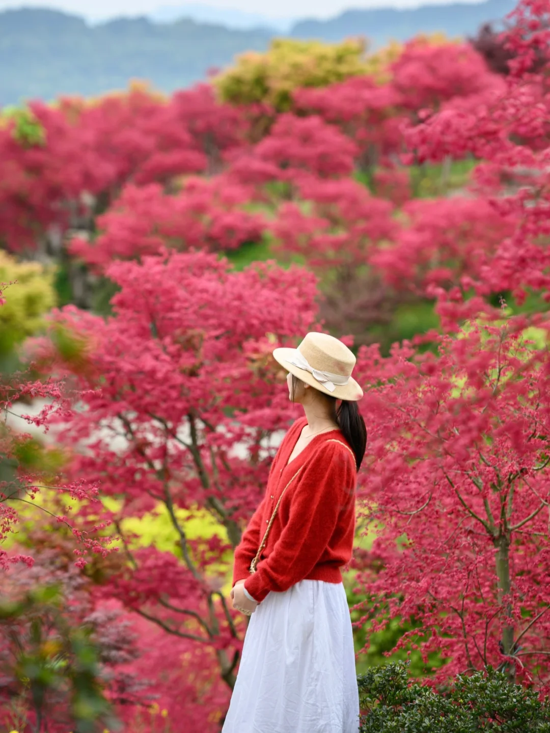 重庆，强烈推荐这个小众地方！油画彩林美绝了