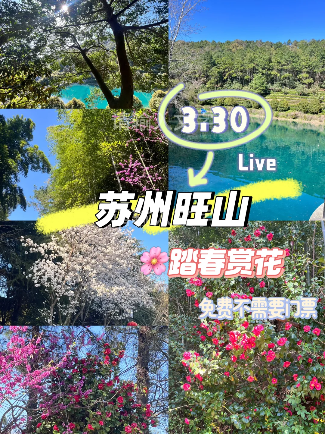 3.30 | 苏州小众踏春赏花景点‼️🤩