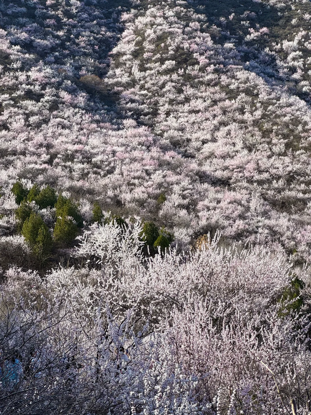 3.22 白虎涧 带上你最好的相机冲冲冲!