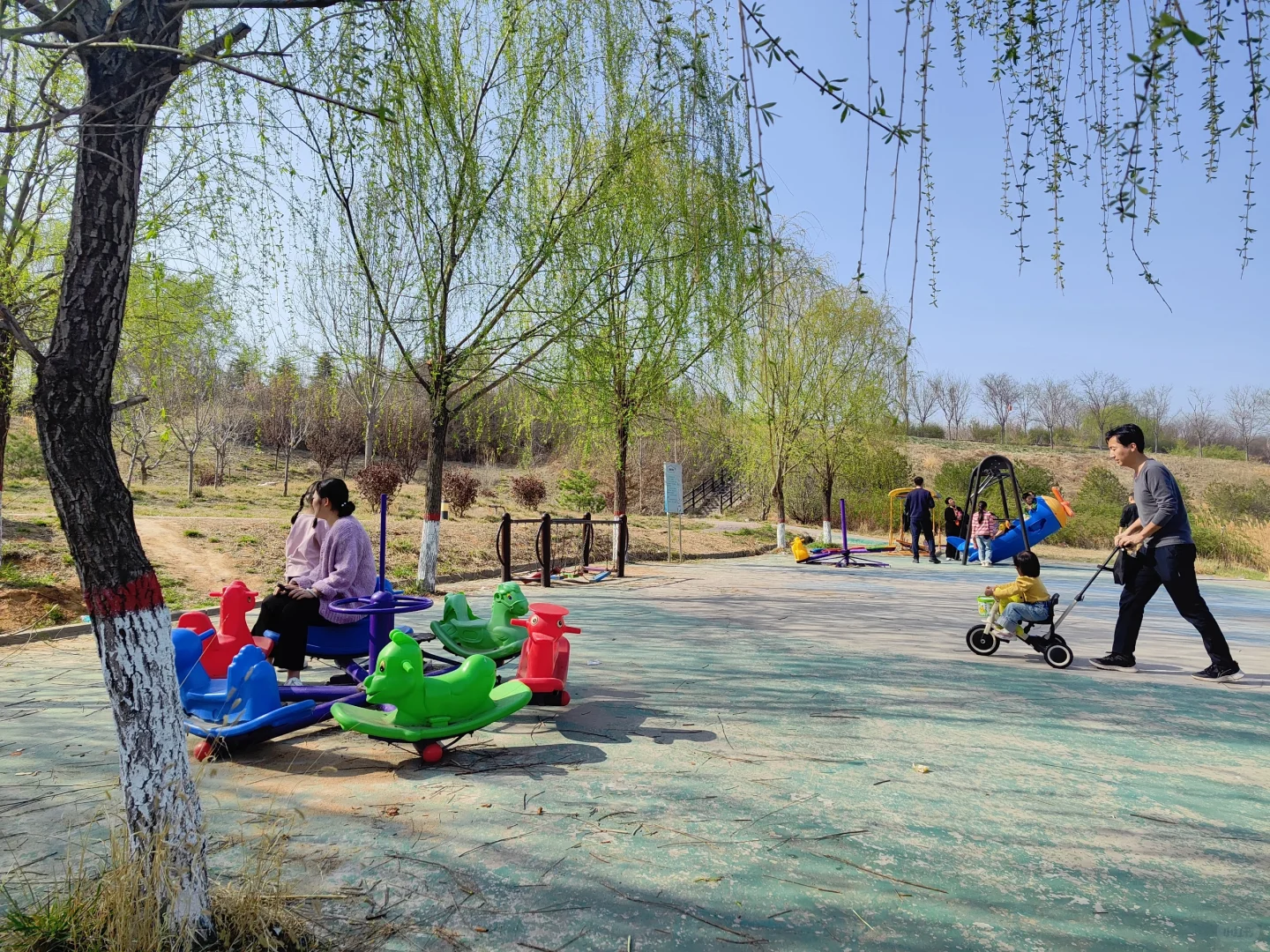 ✨邯郸👣免费露营遛娃的好地方