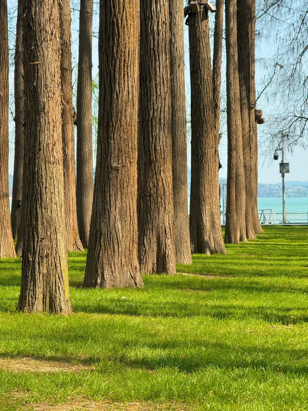 以为东湖磨山已经很美了,直到我去到这里…