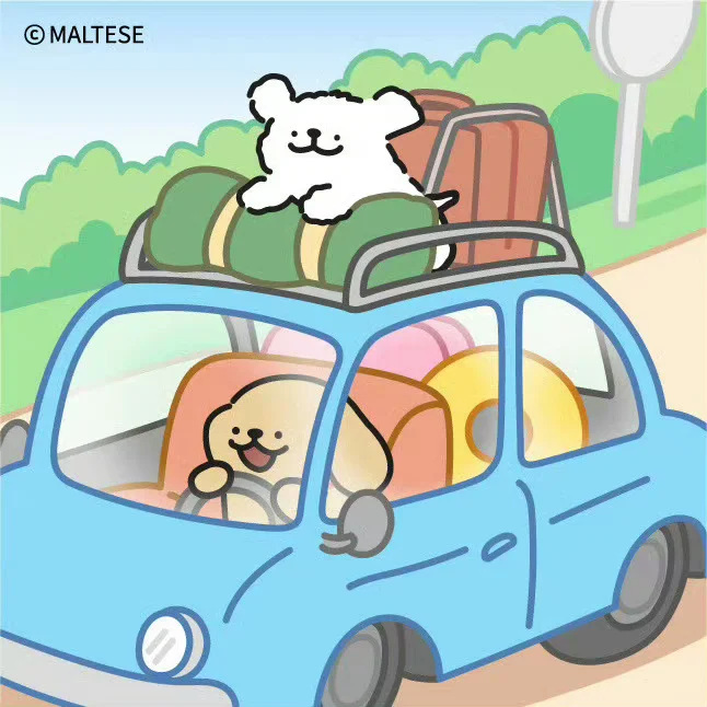 抓住假期的尾巴出发游玩！🥳