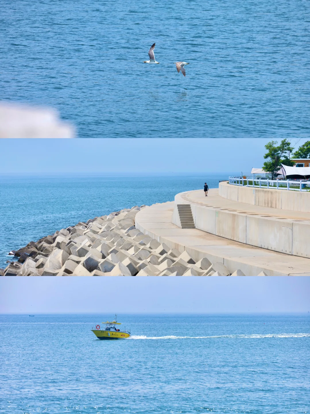 “以为威海已经很美了，直到我去了大连…...”