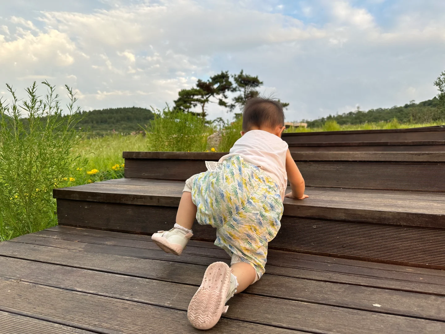 不用去新疆，枣庄也有自己的阿勒泰