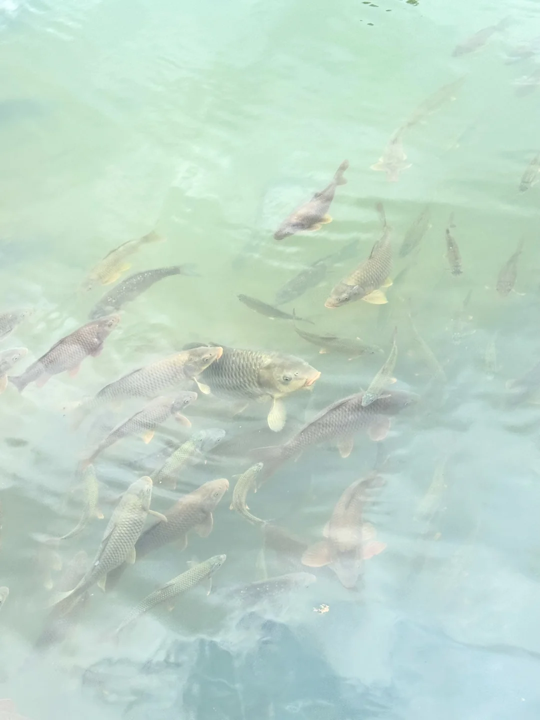 阴天的小七孔避雷