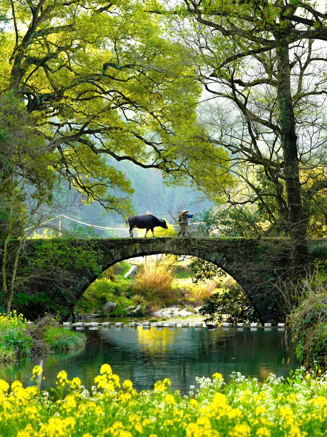 以为黄山够美了❗直到我去了这里……
