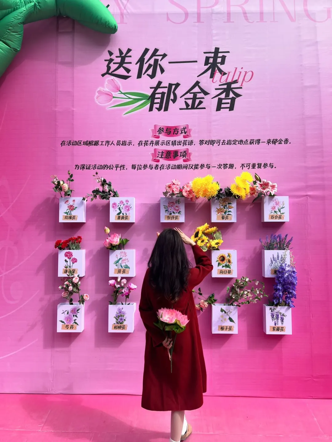 谁懂！河南宝泉藏着春日限定郁金香花海🌷