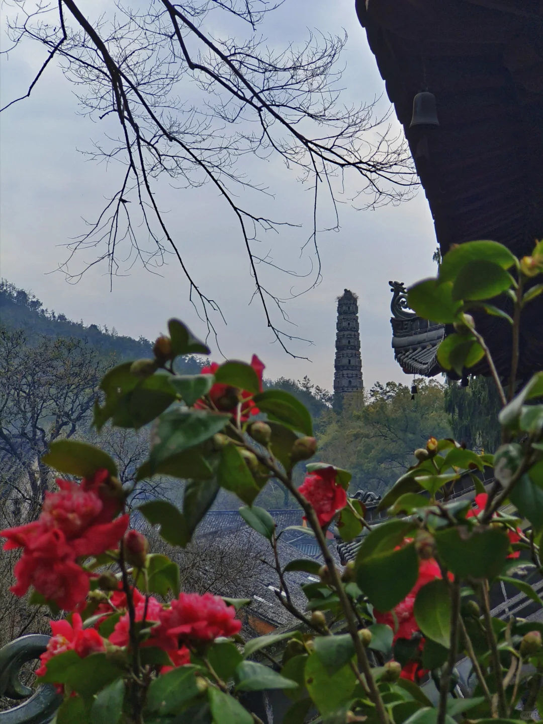 上海出发特种兵一日游之上春山👣