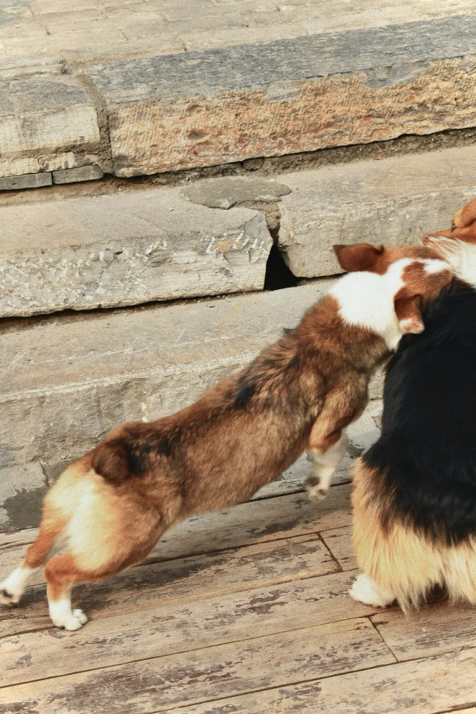 00后毕业在景区工作是什么体验