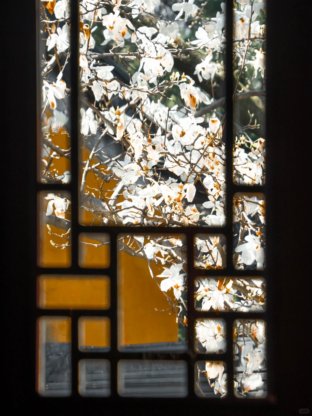 为了这扇窗景,我特地飞了一趟南京来值得吗?