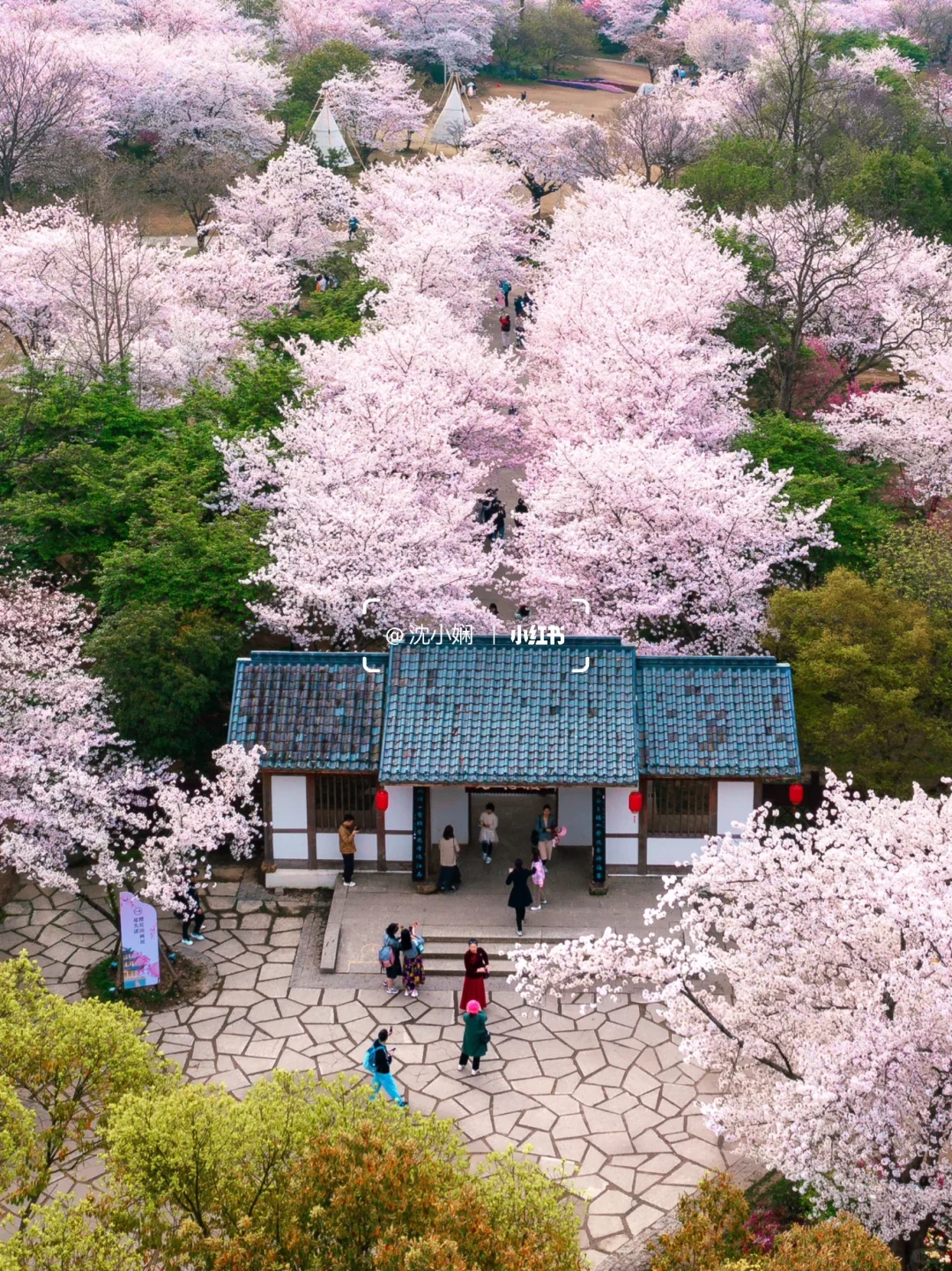 刚从无锡鼋头渚回来，能劝一个是一个‼️