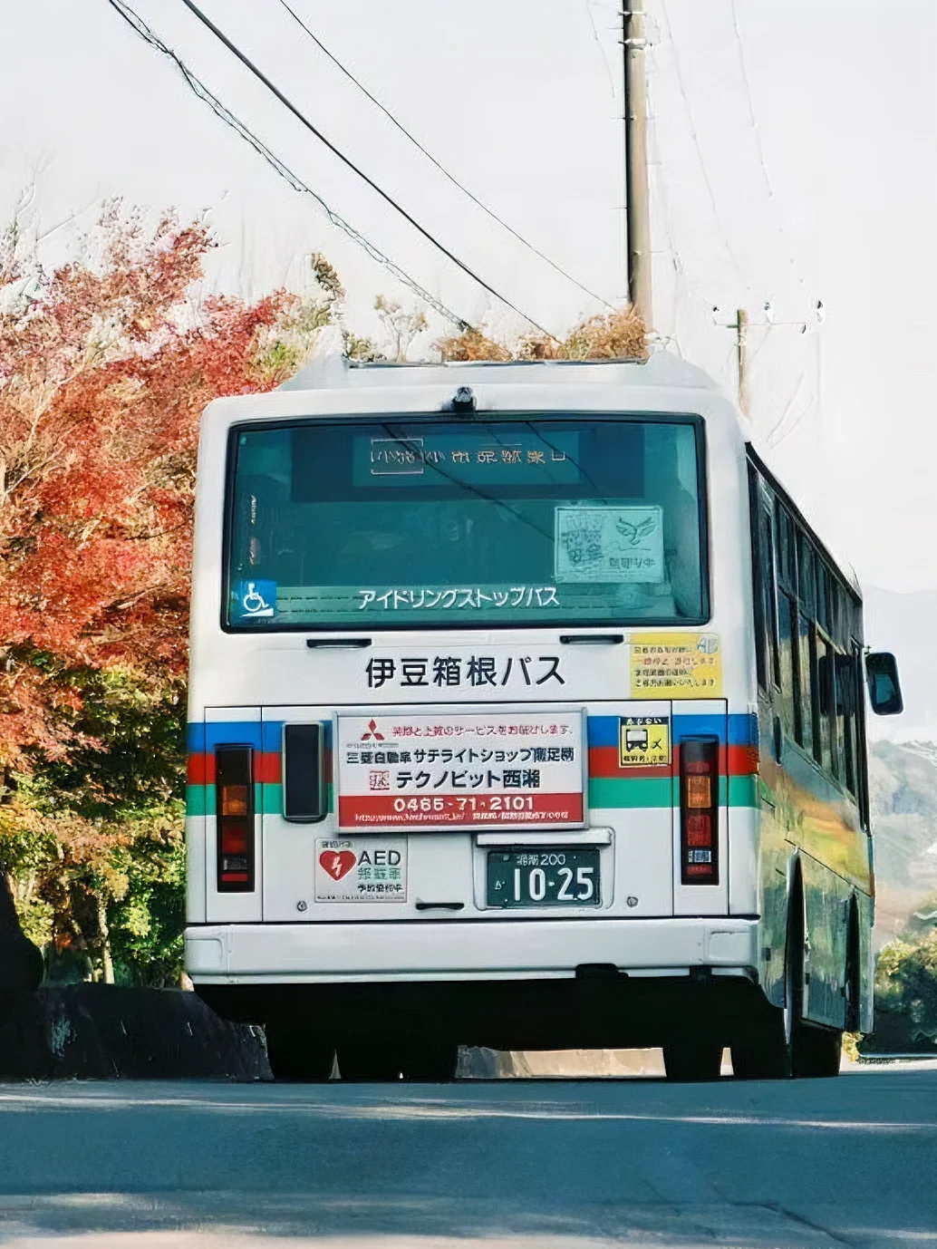 静冈旅游攻略 | 一场治愈心灵的海滨之旅