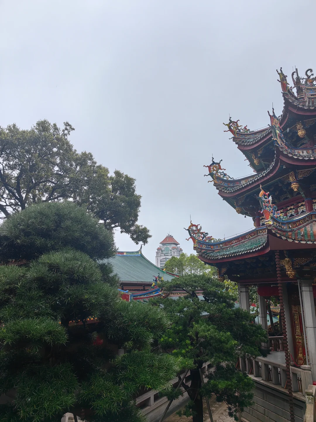 康康大家拍的古今共存的美景