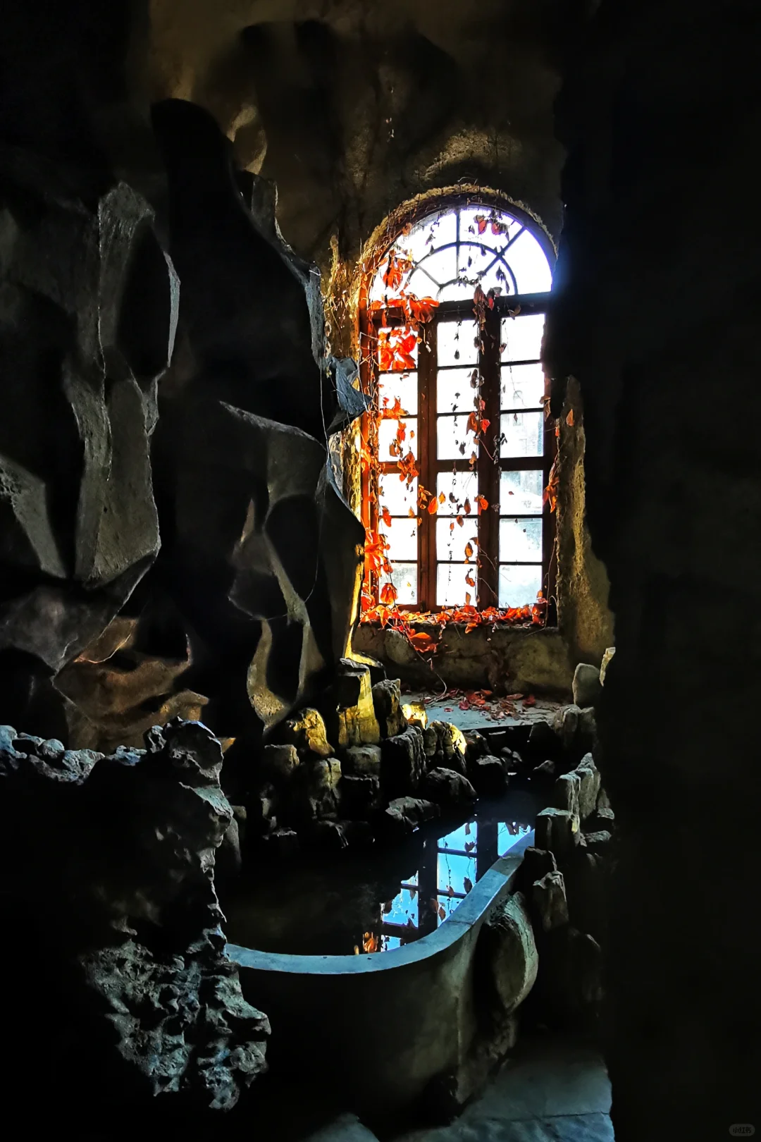 打卡天津254：惊艳的中华石园🌺