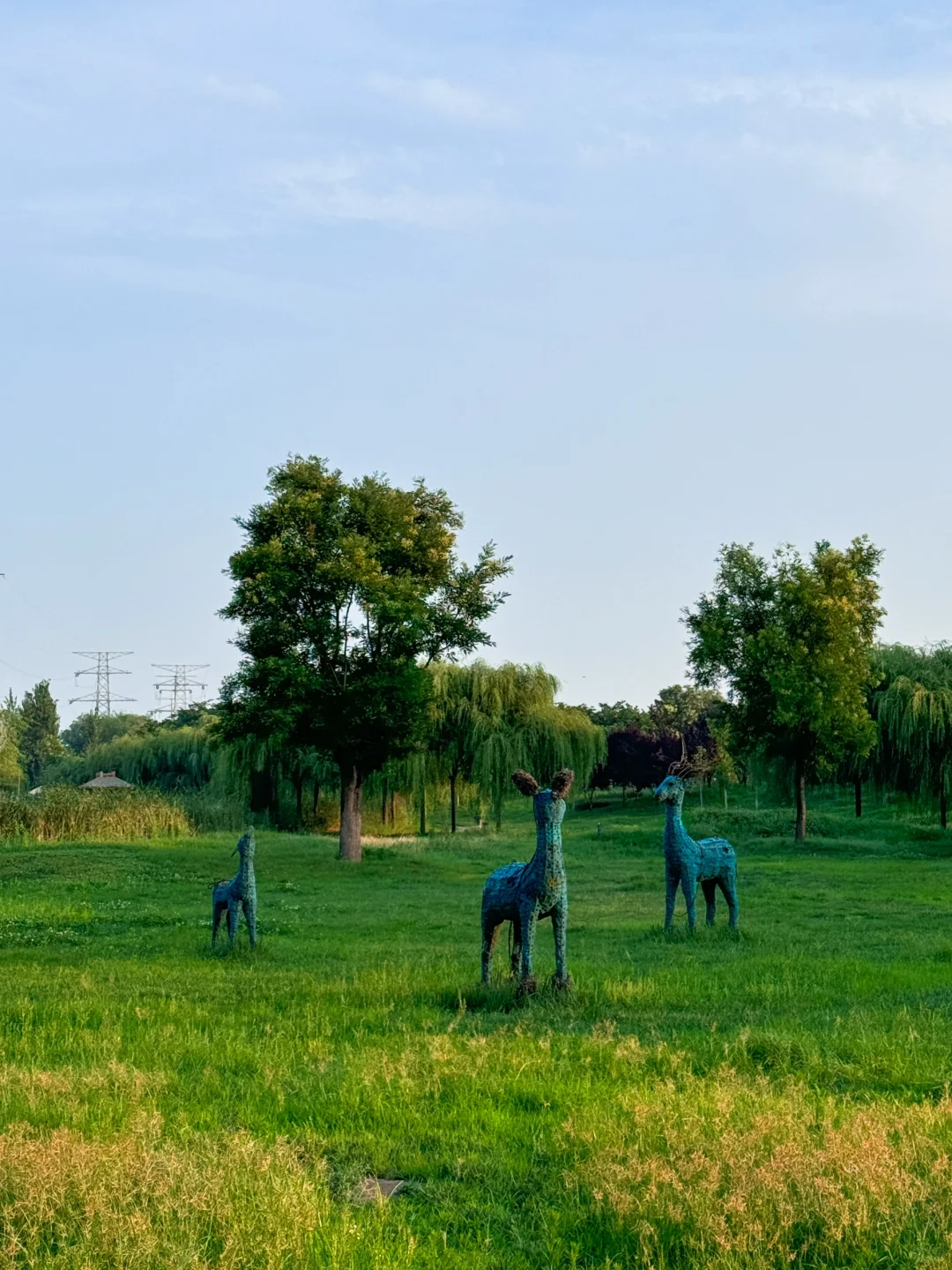 公园20分钟效应·邯郸植物园带来的松弛感🌲