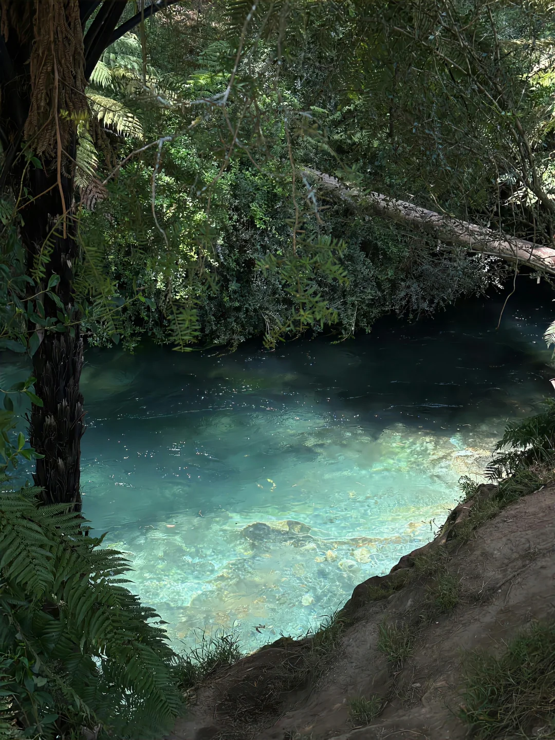 滇池里藏着一个蓝色的魔力池塘