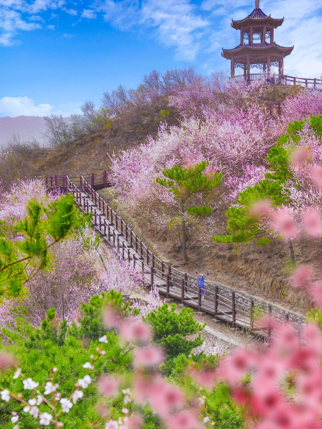 超小众！老少皆宜的无人登山步道美呆了😳！