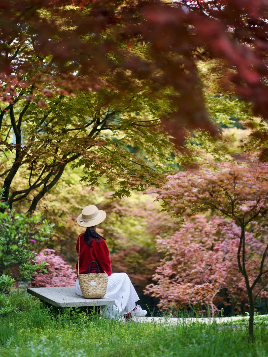 重庆，强烈推荐这个小众地方！油画彩林美绝了