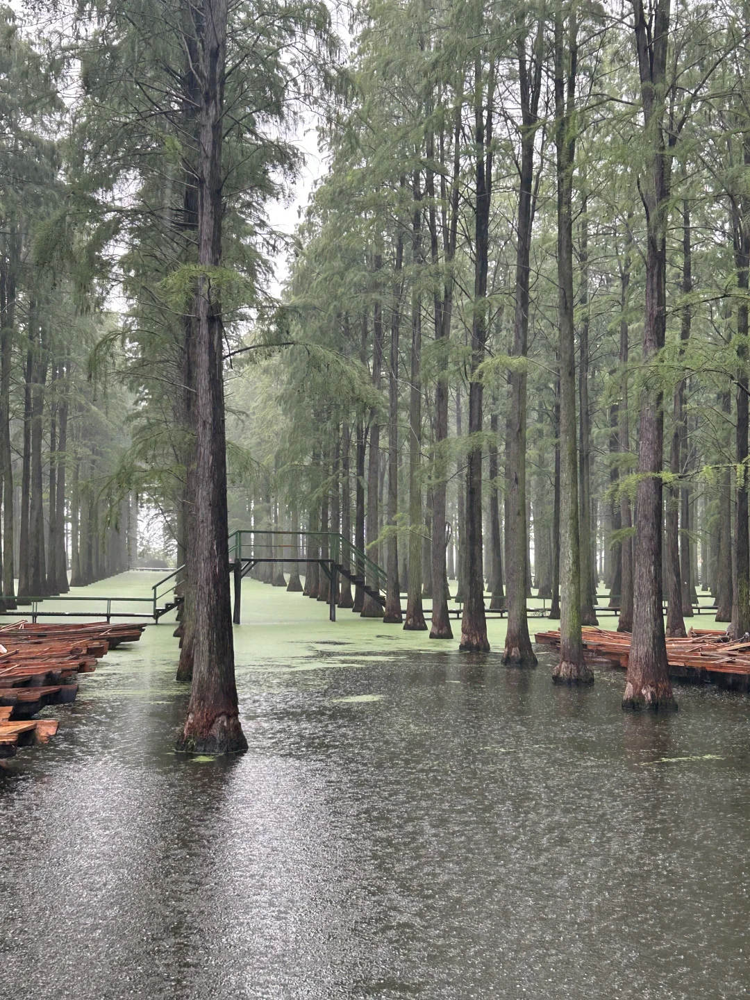 🙋🏻‍♂️来扬州，想给所有人安利的宝藏公园‼️