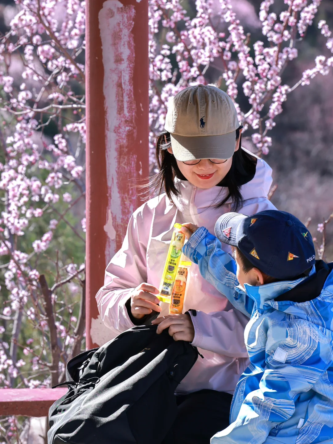 3.20❗️北京蕞适宜全家小众赏花路线宠物友好