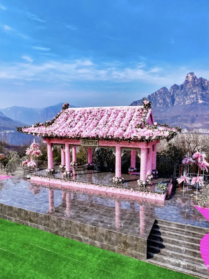 河南景区偷偷开挂？悬崖上长出一片‘赛博花’！