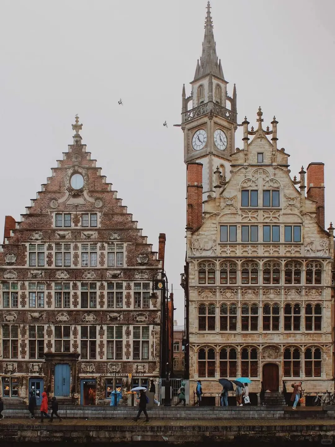 比利时古城根特🚶一条超全的City walk路线