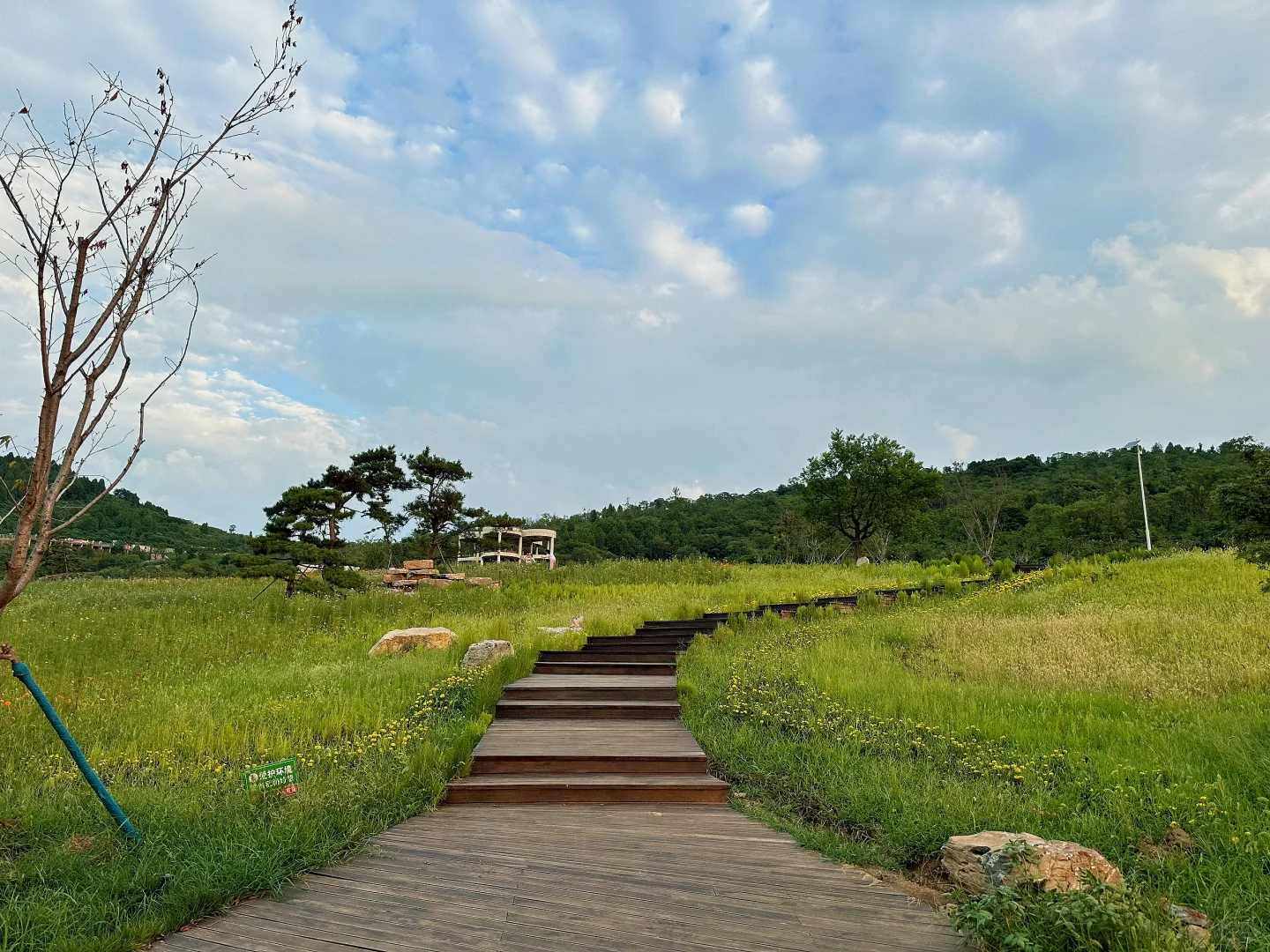 不用去新疆，枣庄也有自己的阿勒泰