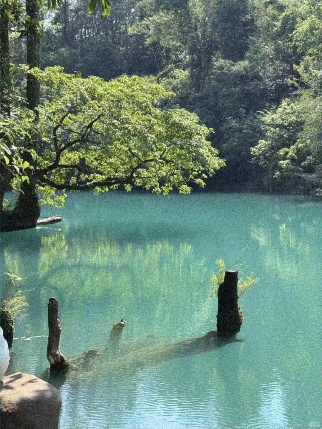 3.17📍小七孔已回，崩溃了😭说点大实话