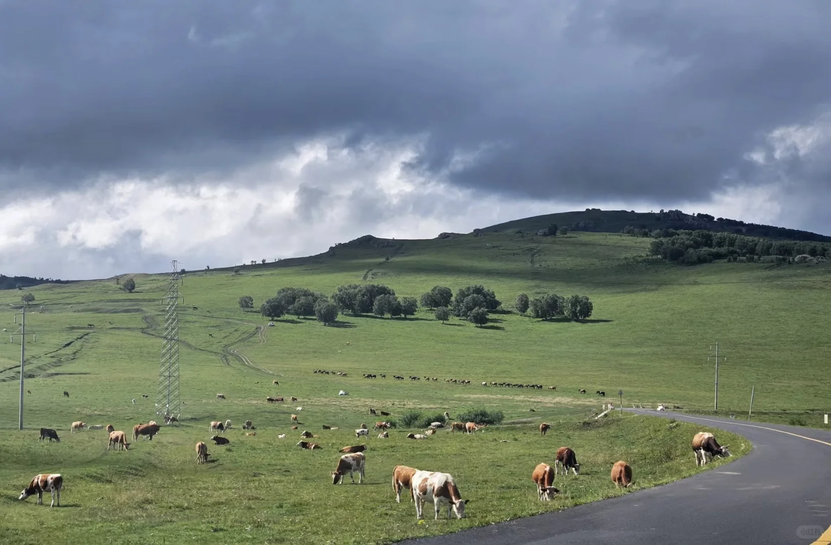 自驾｜达达线｜热阿线 真的非常值得去！！！