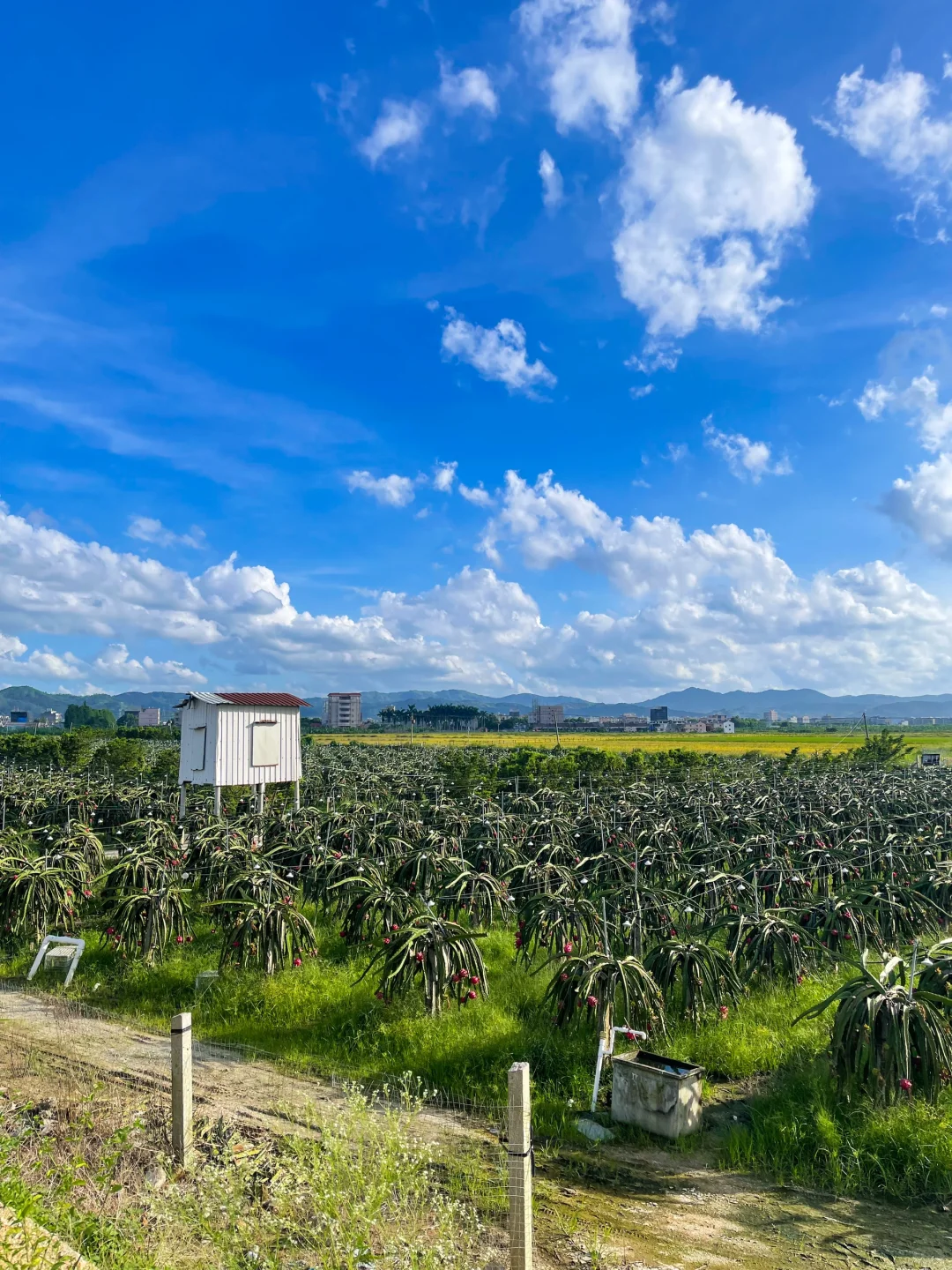 揭阳蜡蜡嗦🚶‍♂️避开市区人挤人的City Walk
