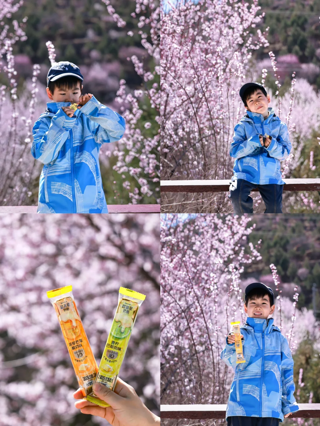 3.20❗️北京蕞适宜全家小众赏花路线宠物友好