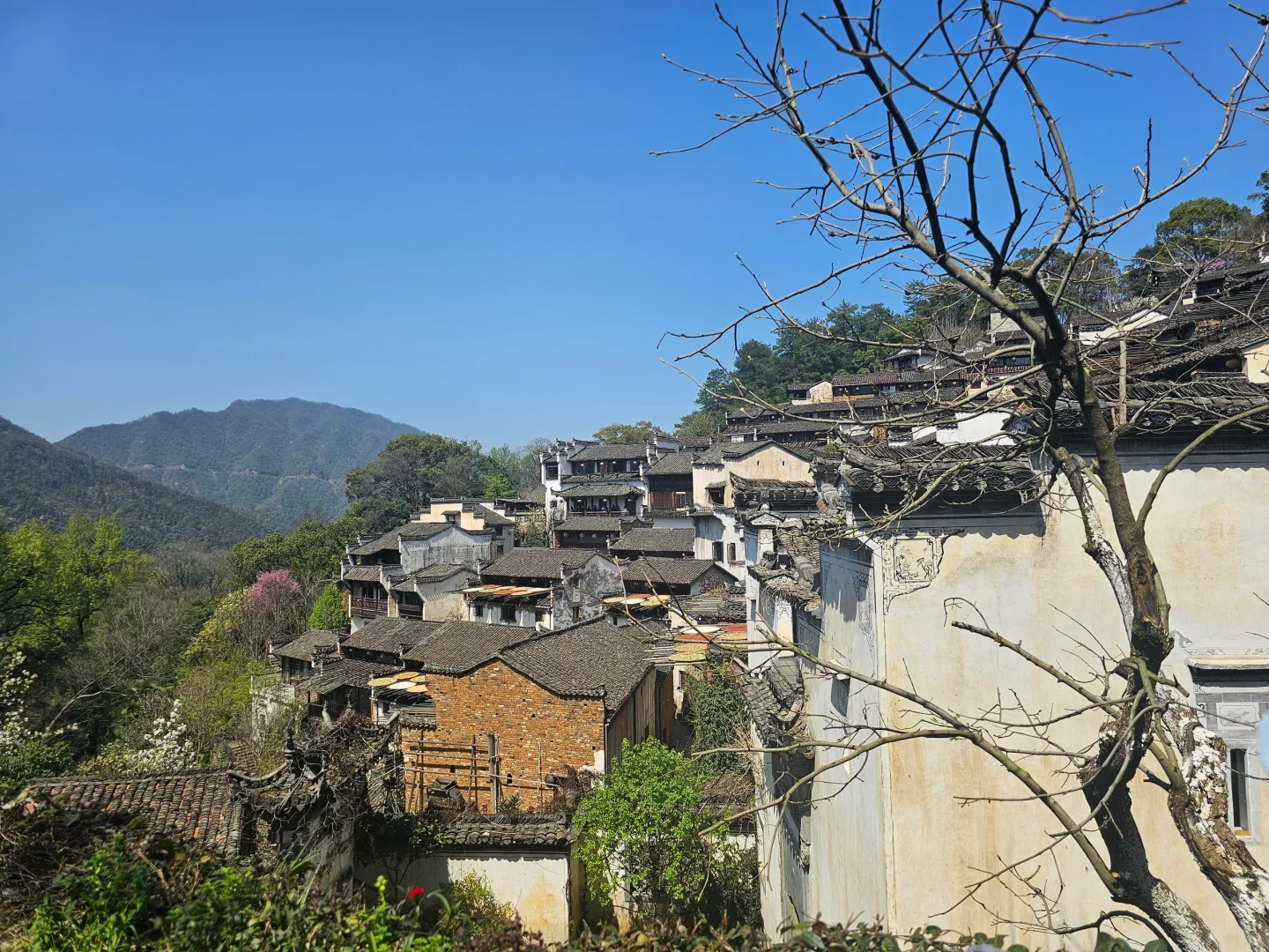 📍江西婺源 篁岭 真心不推荐