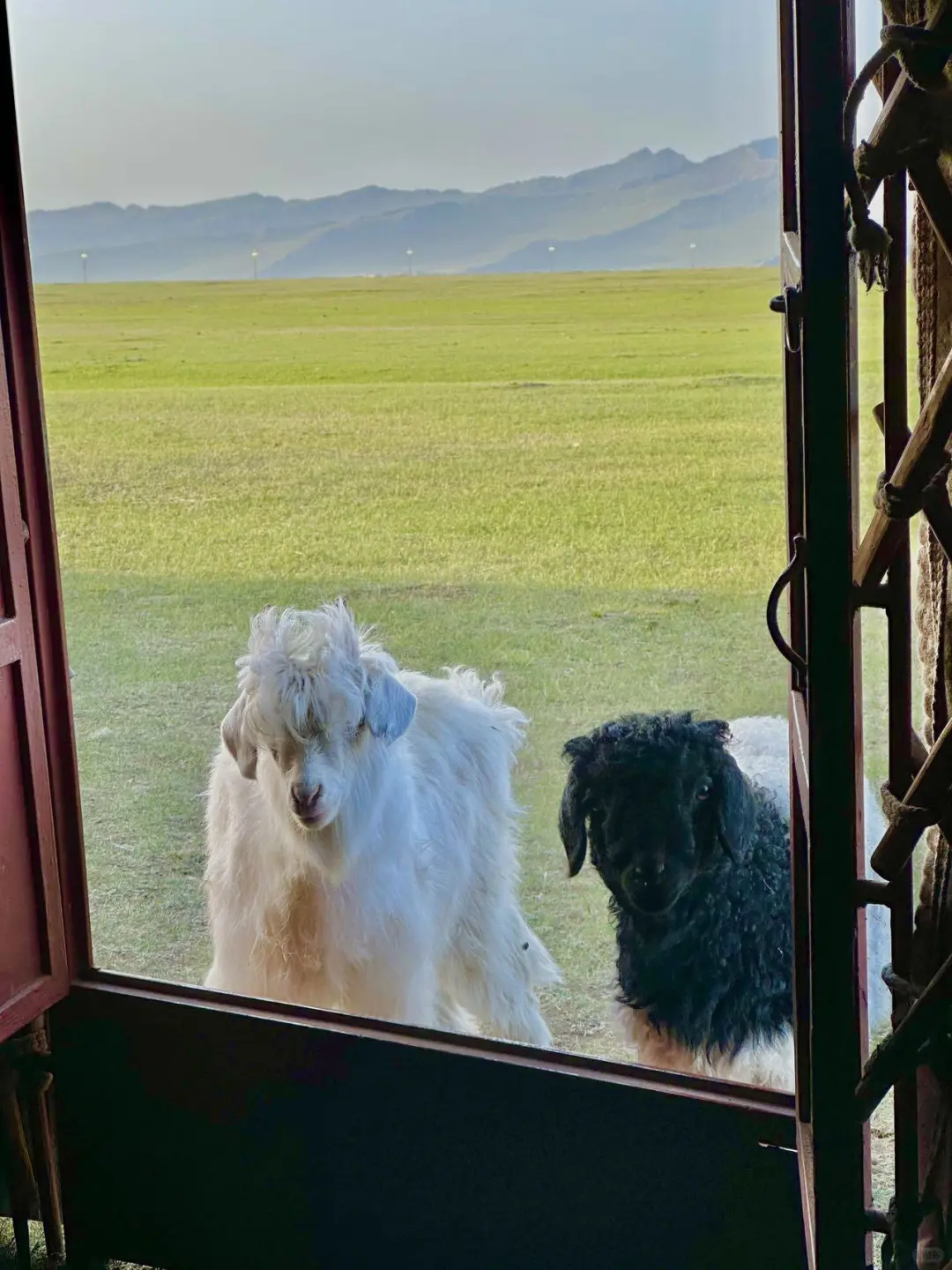 五一反向旅游！想安利1W次被低估的宝藏秘境