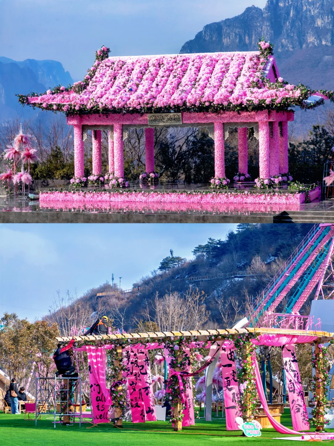 河南景区偷偷开挂？悬崖上长出一片‘赛博花’！