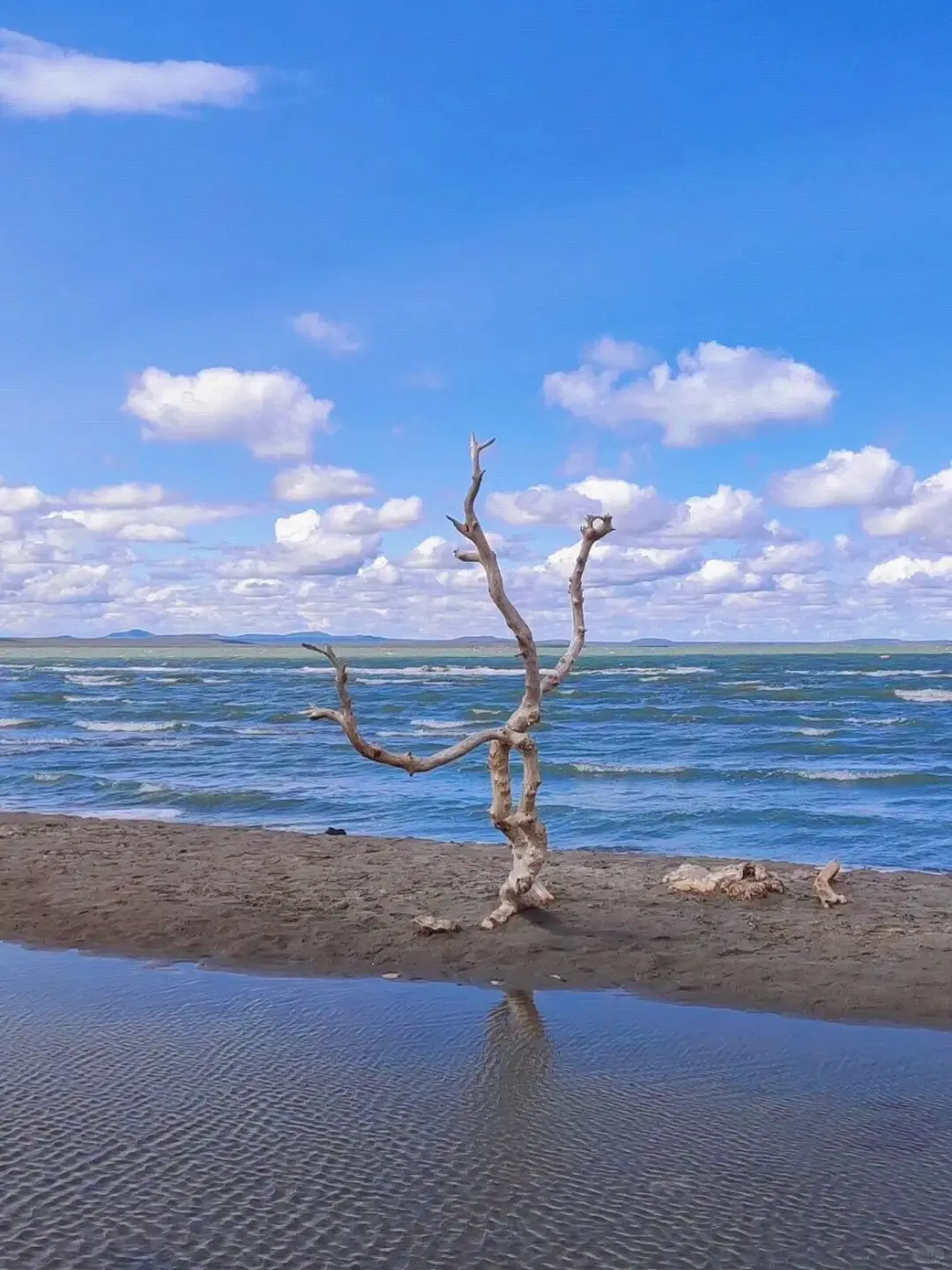 内蒙古的夏天，是一场盛大的浪漫🌷