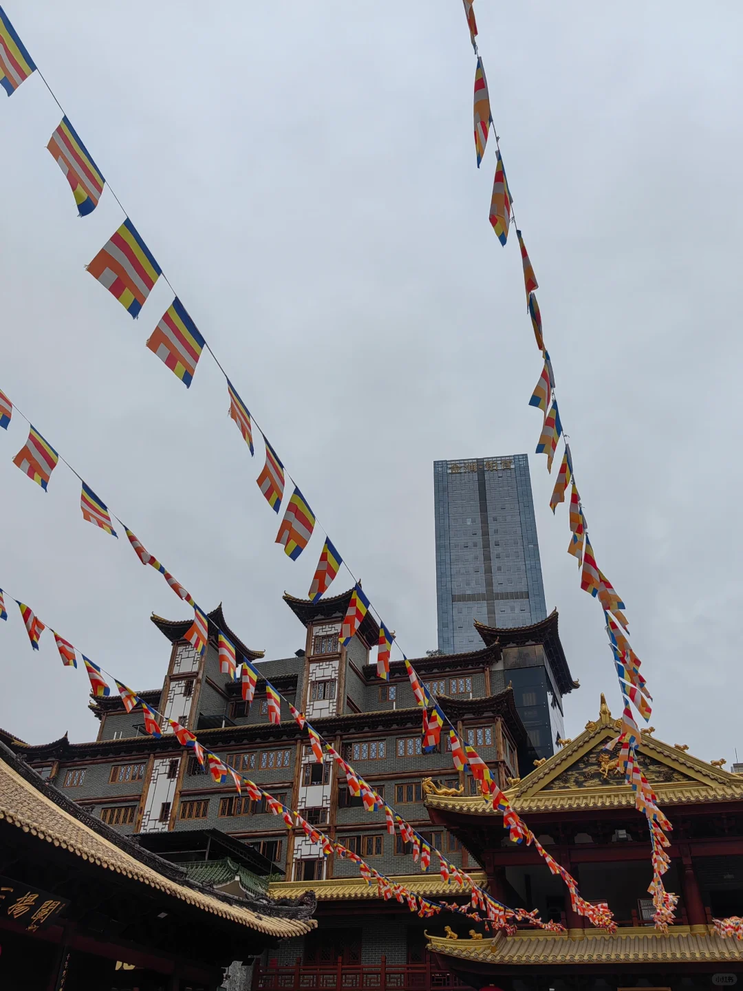 康康大家拍的古今共存的美景