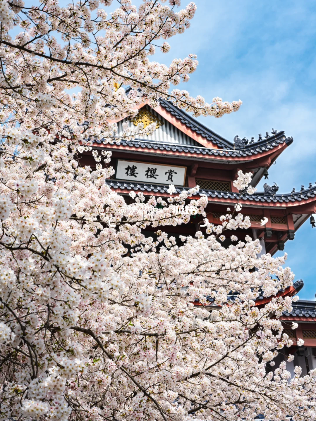 刚从无锡鼋头渚回来，能劝一个是一个‼️