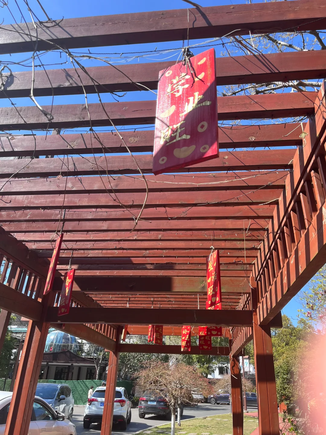 3.30 | 苏州小众踏春赏花景点‼️🤩