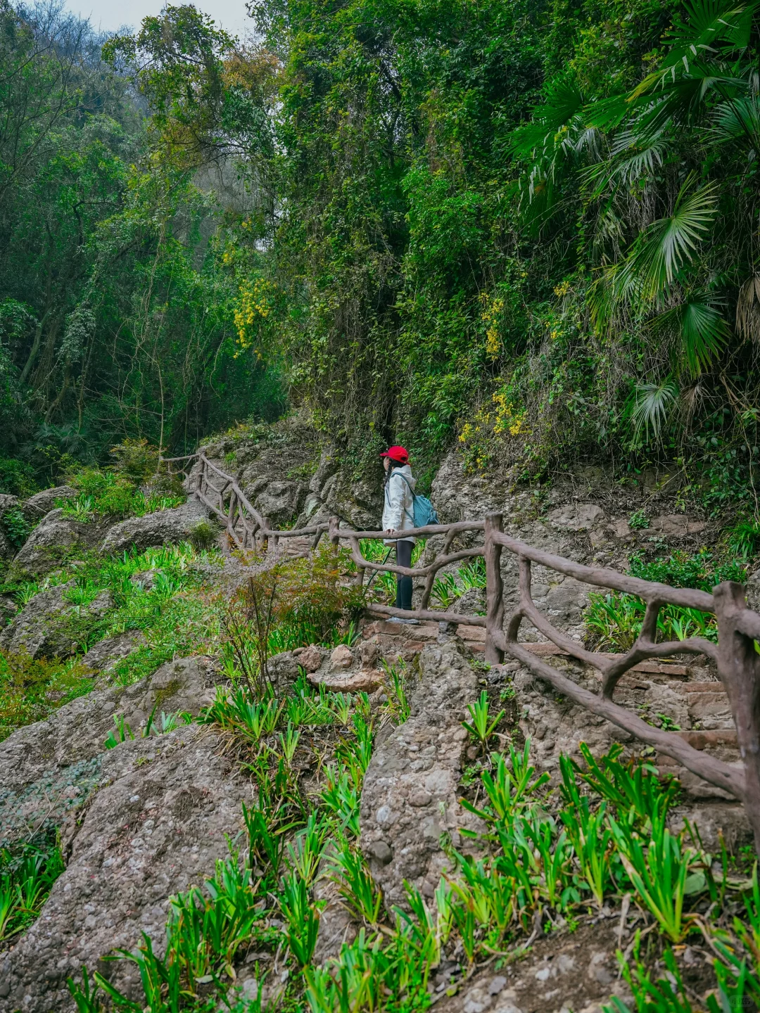 在成都周边！！我唯一想去无数次的徒步路线！！