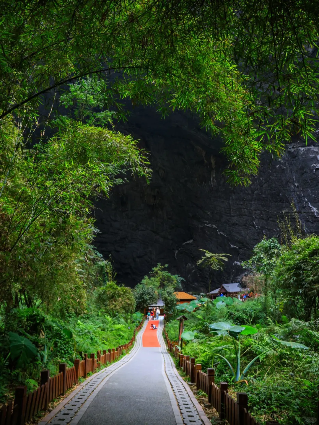说走就走的三月三广西巴马旅游攻略
