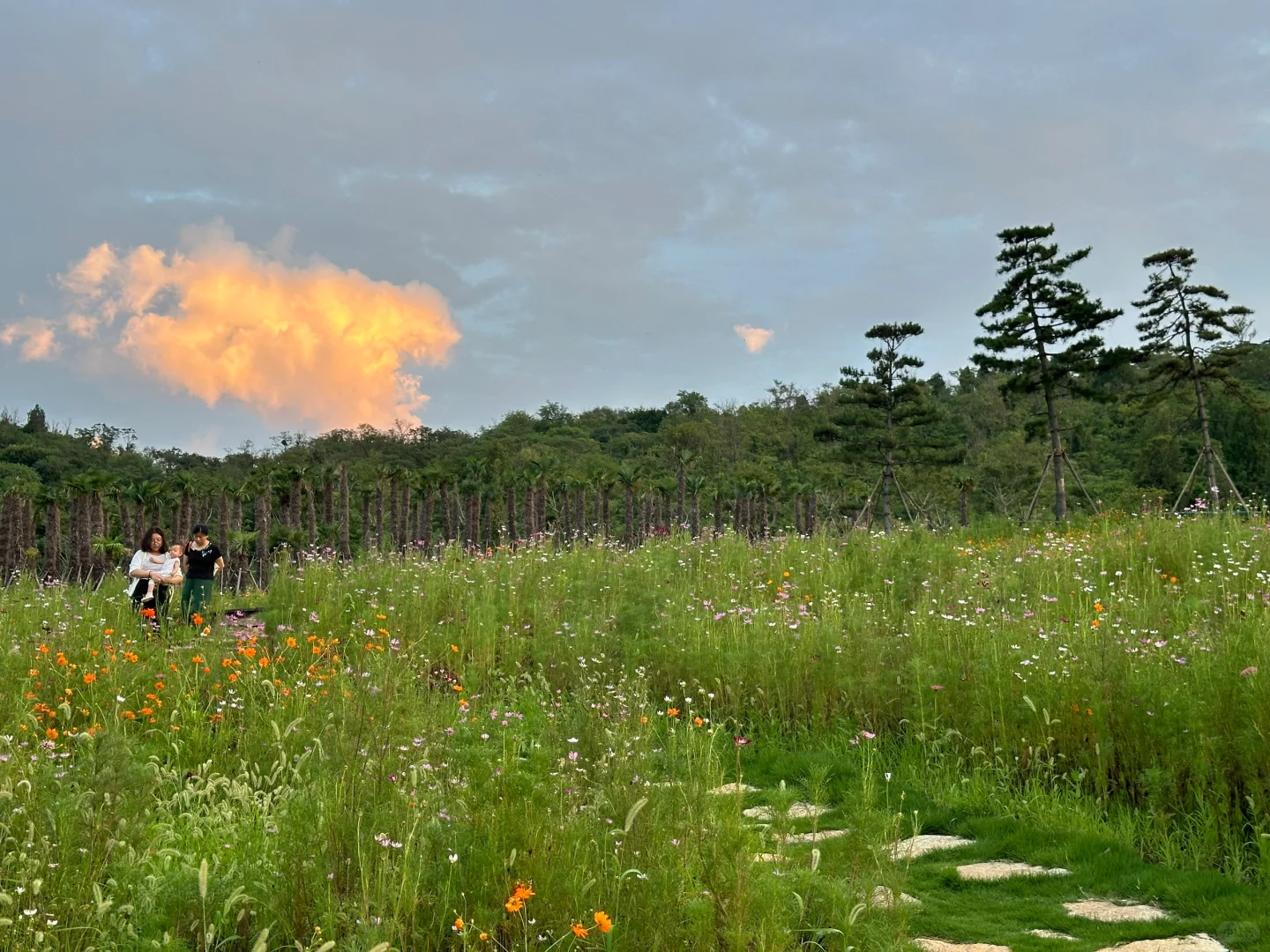不用去新疆，枣庄也有自己的阿勒泰