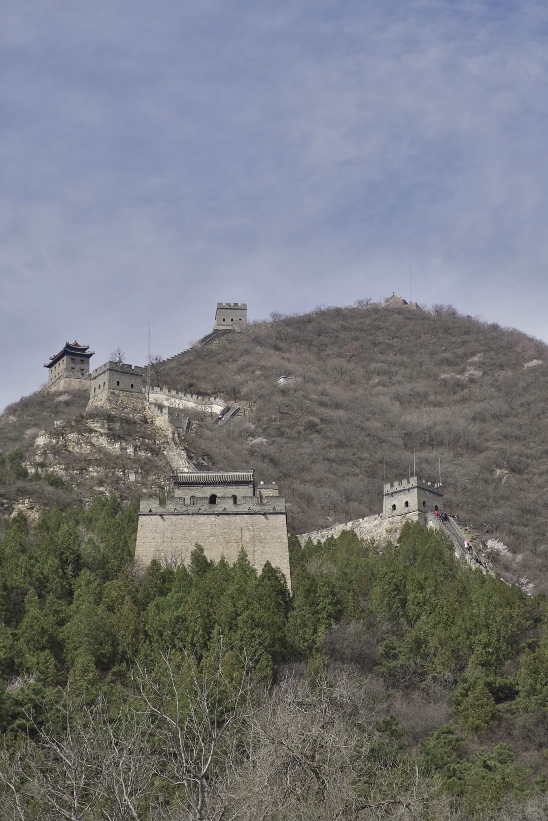 3月22居庸关花海列车没白去，0元解锁附攻略