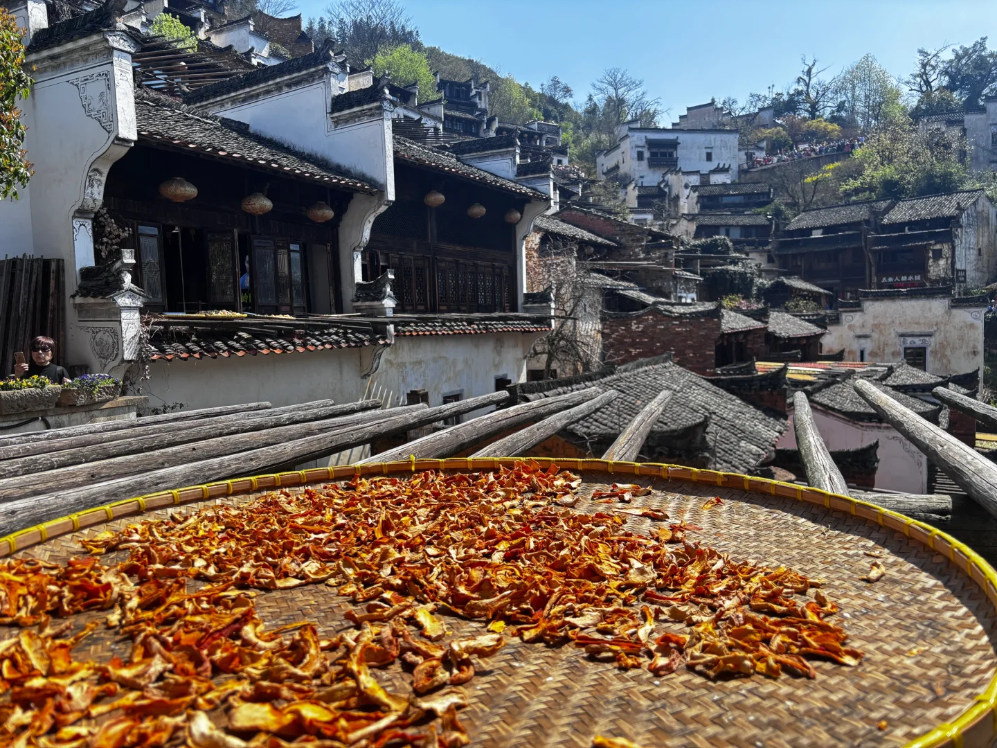 📍江西婺源 篁岭 真心不推荐