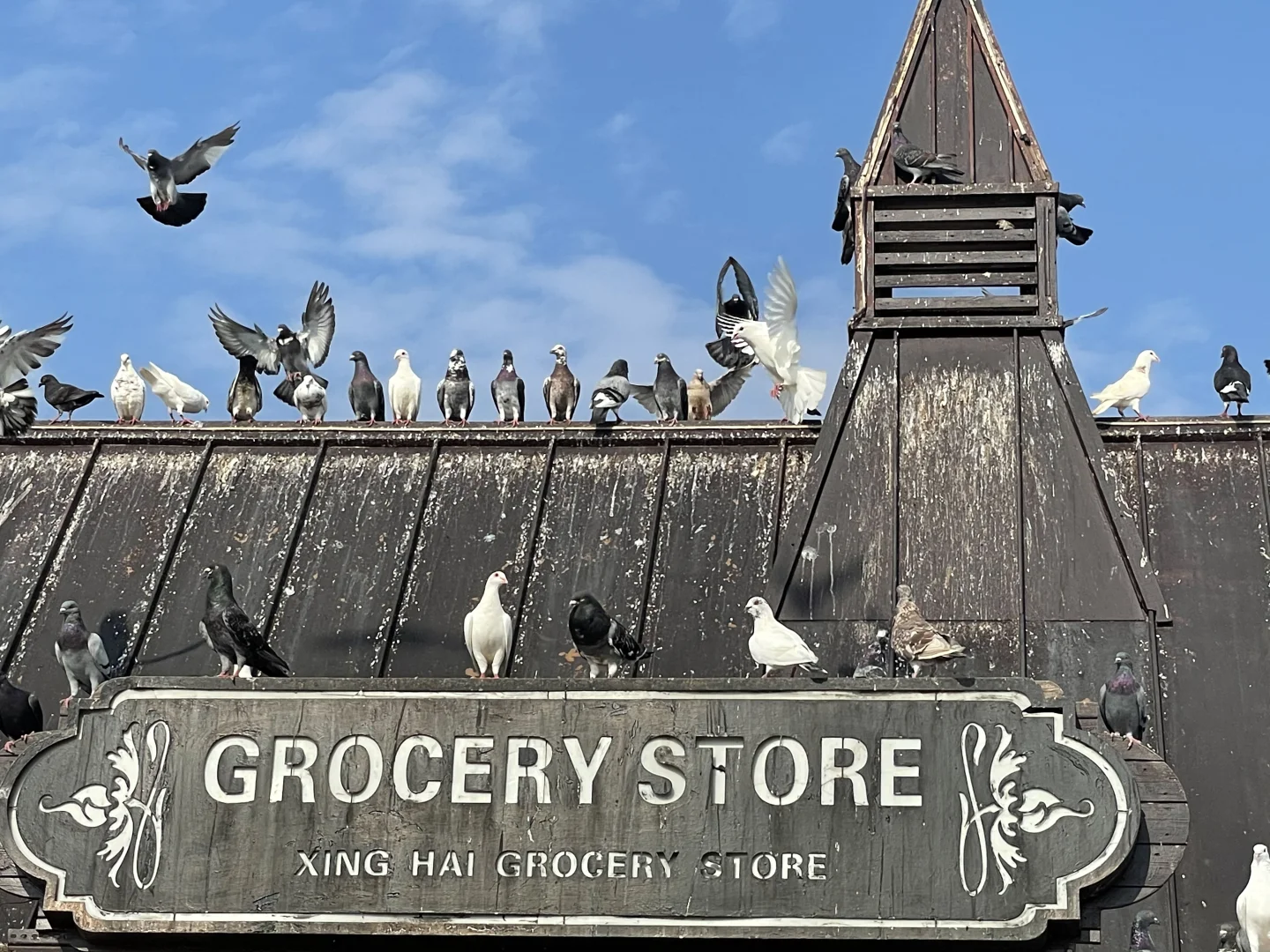 大连免费旅游景点，东港和星海哪个更值得