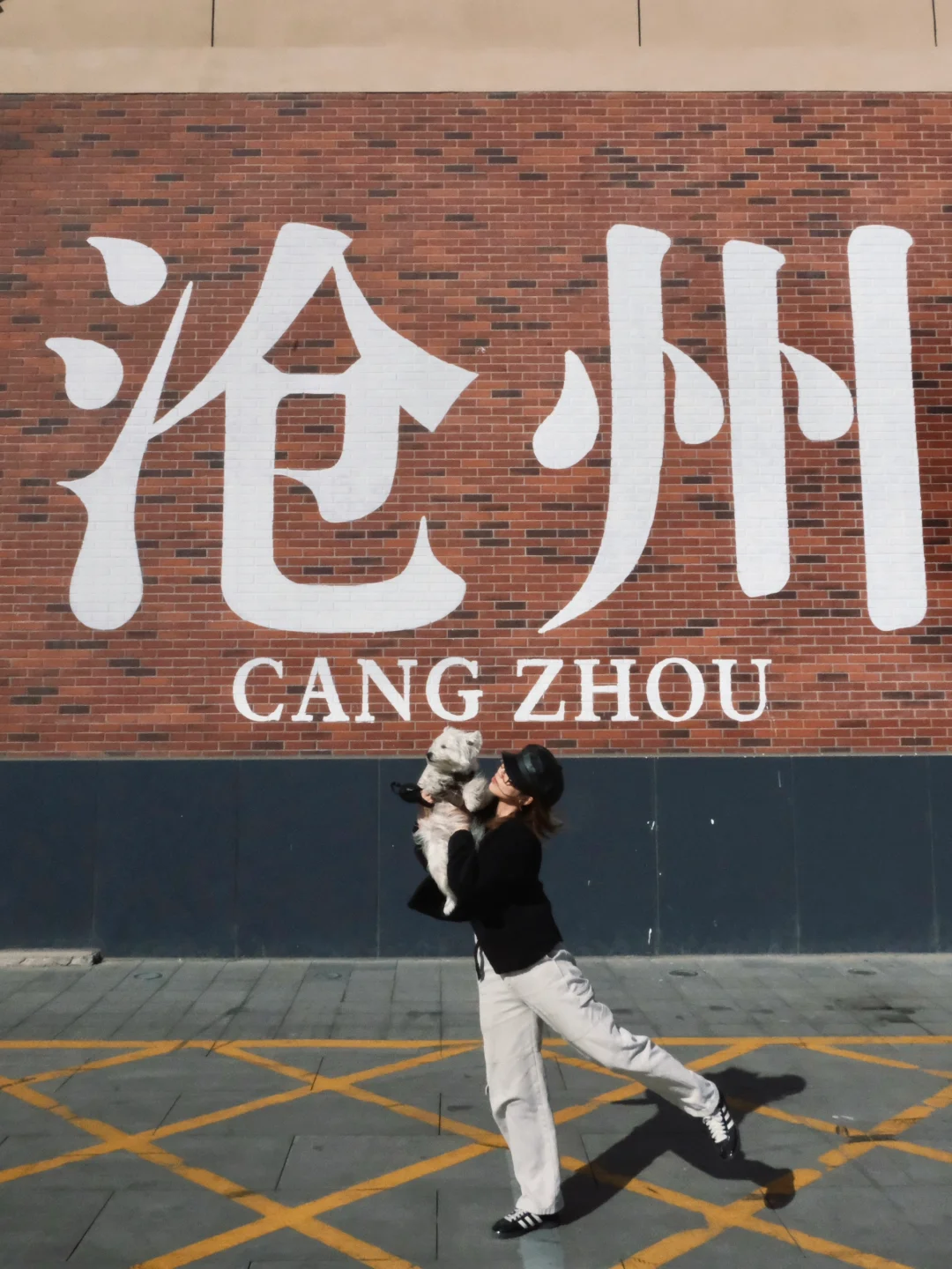 沧州｜带狗下江南第一站 烟火气十足的小城🍲