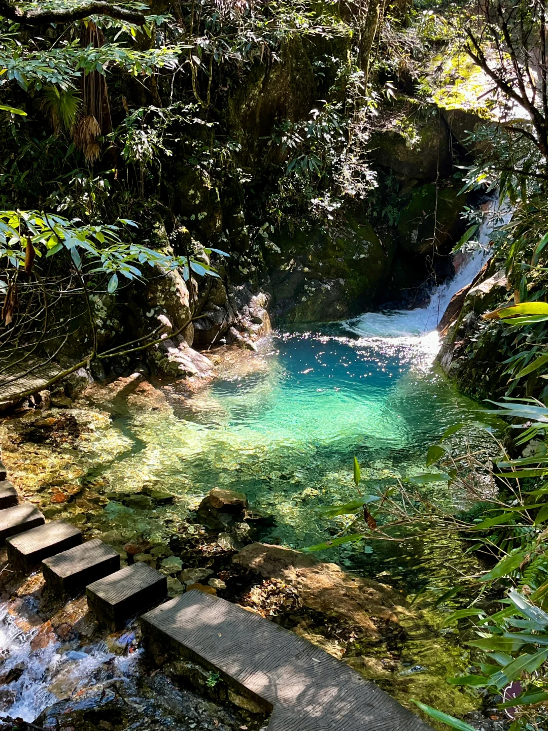 丽水秘境徒步｜阳光洒落 潭水如钻🍃🧊🫧