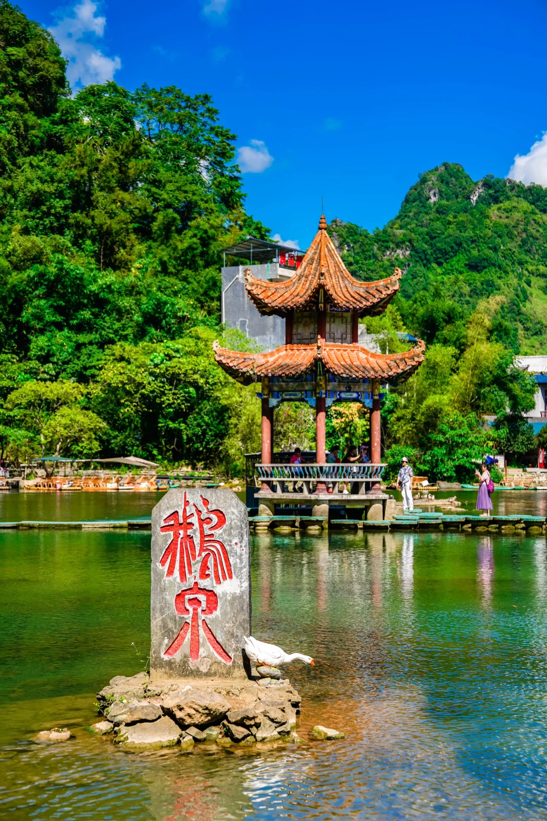 广西靖西的夏天从不骗人！随手拍都是画卷